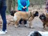 ruby 10 maanden